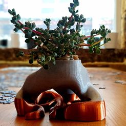 Bonsai Planter